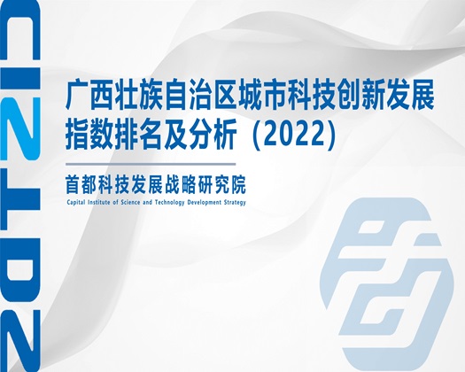 日老太婆白毛逼【成果发布】广西壮族自治区城市科技创新发展指数排名及分析（2022）